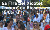 6a Fira del Xicotet Comerç de Picanya - Dissabte 15/06/2013
