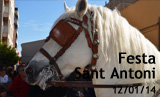 Festa de Sant Antoni 2014
