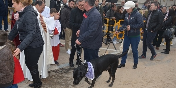 Festa de Sant Antoni. 2 de 2. Part final, gossos, gats i altres