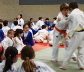 icona_noticia_judo
