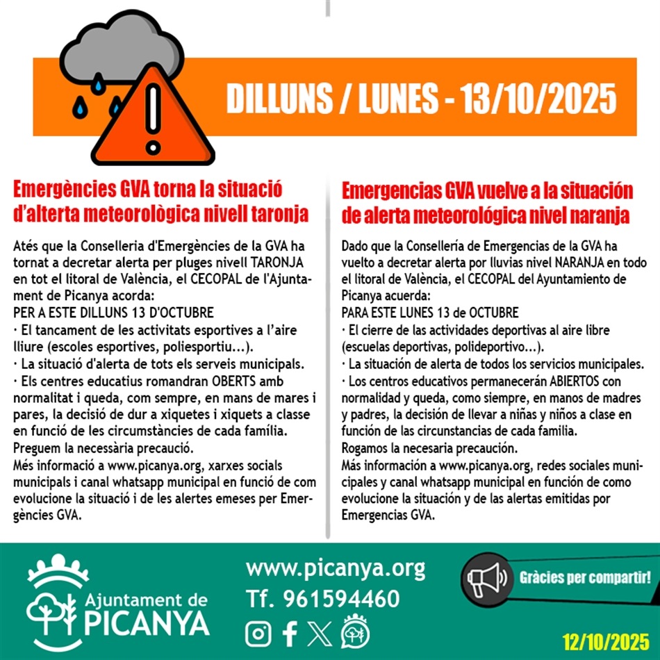 taronja_2025_10_13 taronja_2025_10_13